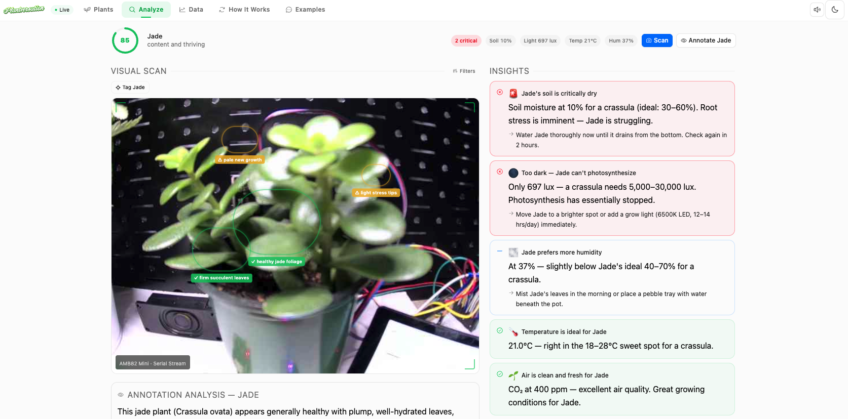Camera analysis with Claude Vision